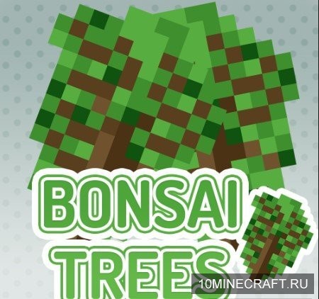 Bonsai Tree Crops
