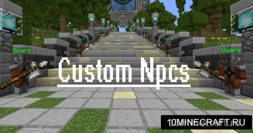 Custom NPCs