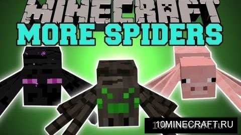 Much More Spiders