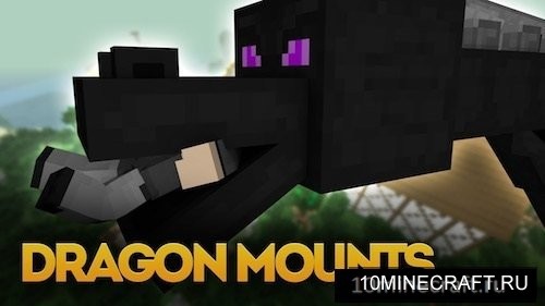 Dragon Mounts
