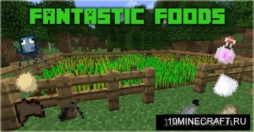 Fantastic Foods