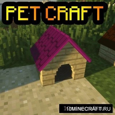 Pet Craft