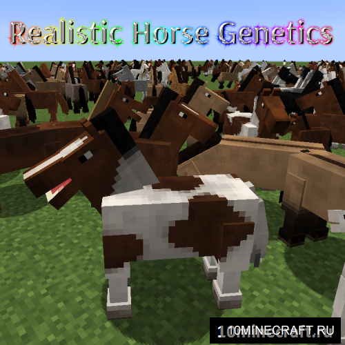 Realistic Horse Genetics