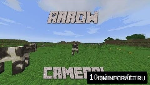 Arrow Camera