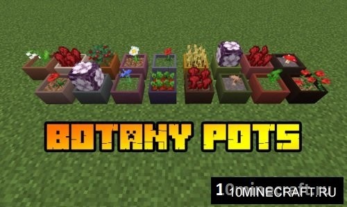 Botany Pots