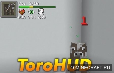ToroHUD
