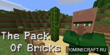 The Pack of Bricks