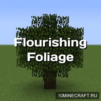 Flourishing Foliage