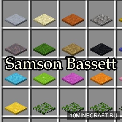 Samson Bassett