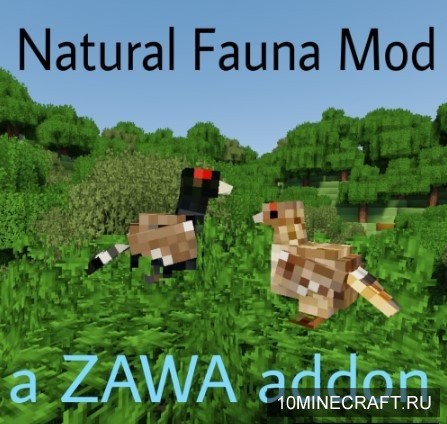 Natural Fauna
