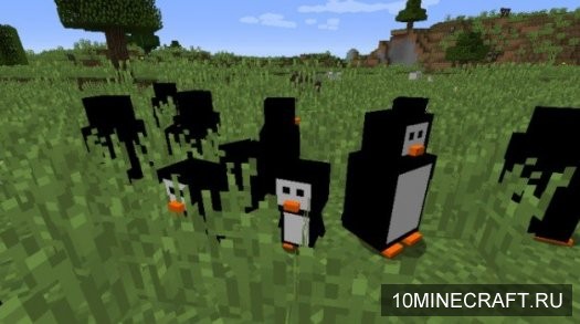 Penguins