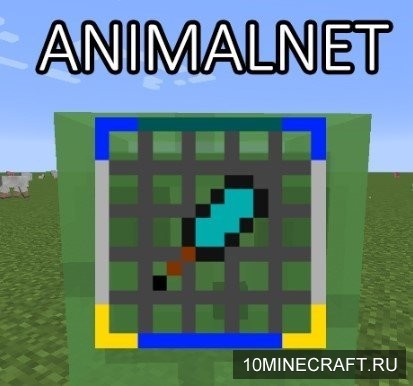 AnimalNet