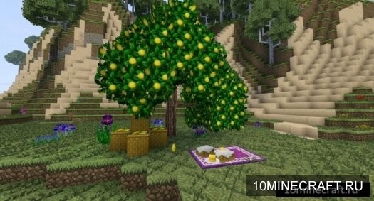 Dynamic Trees - Heat and Climate Compat