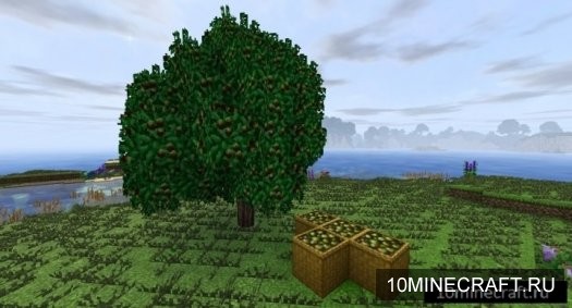 Dynamic Trees - Heat and Climate Compat