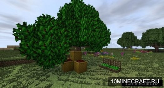 Dynamic Trees - Heat and Climate Compat