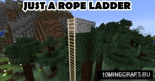 Just A Rope Ladder
