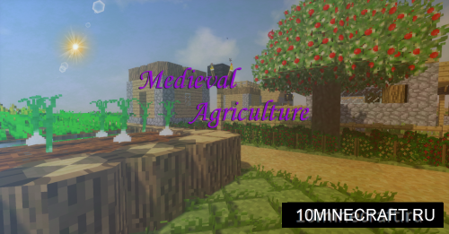 Medieval Agriculture