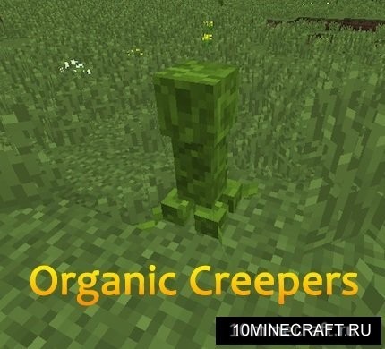 Organic Creepers