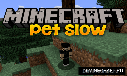 Pet Slow