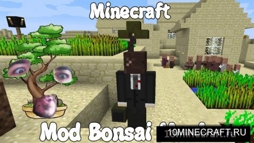 Bonsai Man