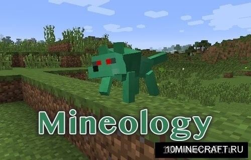 Mineology