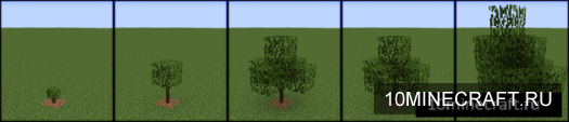 Growing Trees