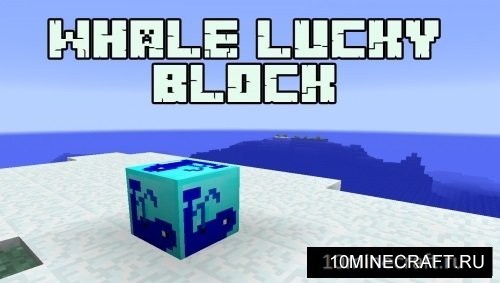 Whale Lucky Block