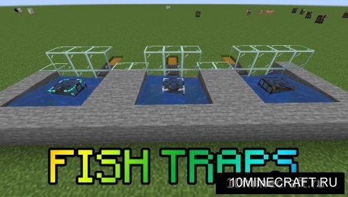 Fish Traps