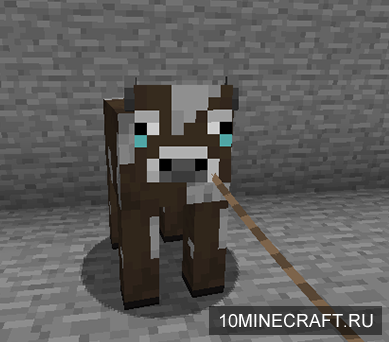 MyCraft