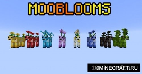 Mooblooms
