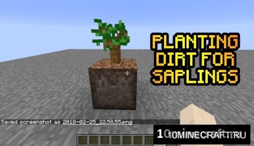 Planting Dirt For Saplings
