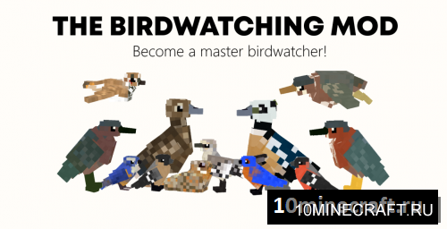 The Birdwatching