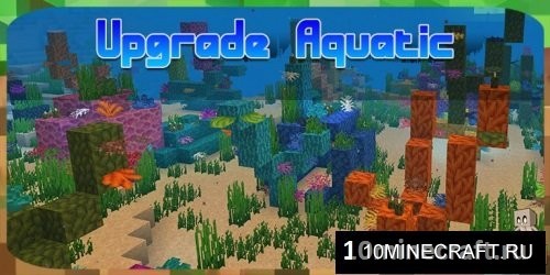 Upgrade Aquatic