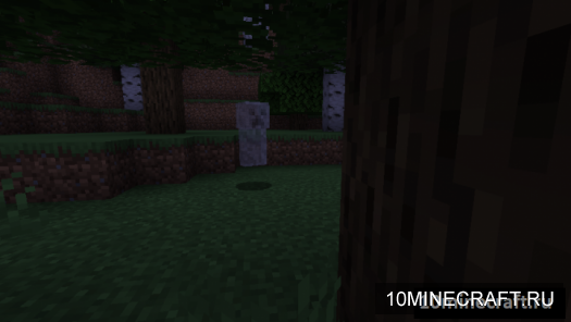 Creepy Creepers