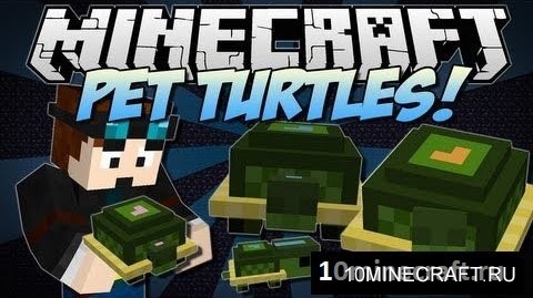 Pet Turtles