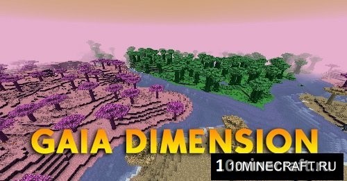 Gaia Dimension