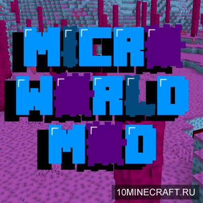 The MicroWorld